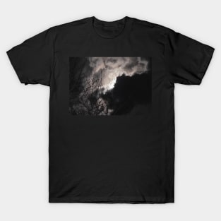 Full Beaver Moon T-Shirt